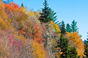 Must Visit Places in North Georgia During the Fall