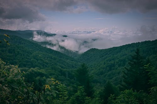 Things to do for Spring Break in the Great Smoky Mountains